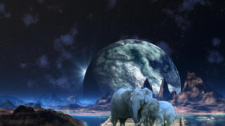 Hugging Elephants in Space wallpaper