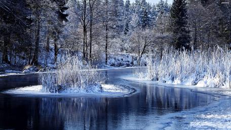 Serene Winter Wonderland Scene wallpaper