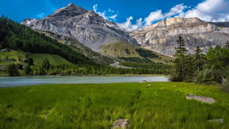 Majestic Alps in Serene Valley View wallpaper