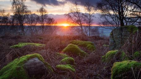 Serene Sunset Over Mossy Boulders in Nature wallpaper