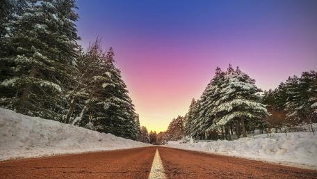 Winter Bliss on a Snowy Roadway wallpaper