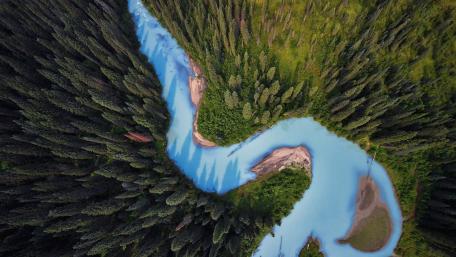 Enchanting Aerial View of a Serpentine River in a Forest wallpaper