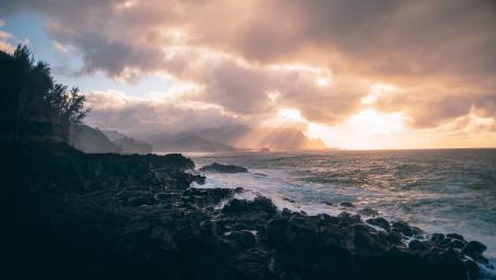 Serene Dawn at the Beach Shoreline wallpaper