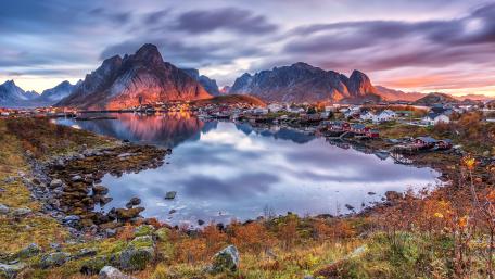 Reine wallpaper