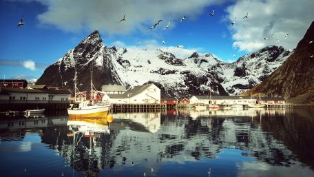 Majestic Reine in Lofoten Norway Wallpaper wallpaper