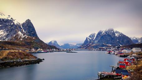 Reine wallpaper