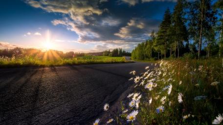 Sunlit Road through Serene Countryside wallpaper