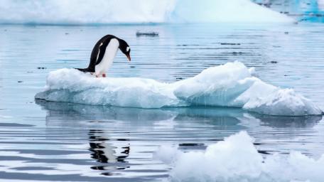 icey Icelandic ocean wallpaper