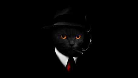 Smoking Agent Cat wallpaper