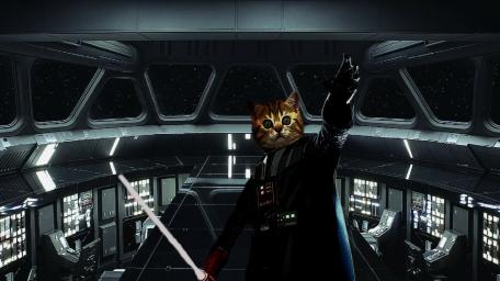 DARTH VADER CAT wallpaper