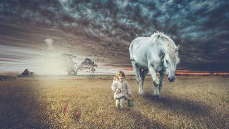 Dreamy Field Companions: A Magical Journey wallpaper