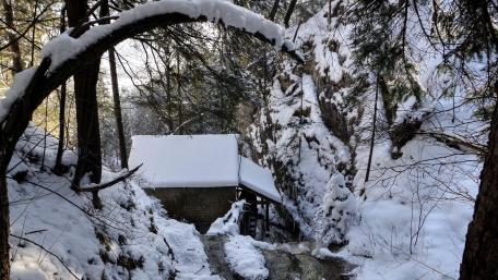 winter_forest_river_mill_landscape_beautifully wallpaper