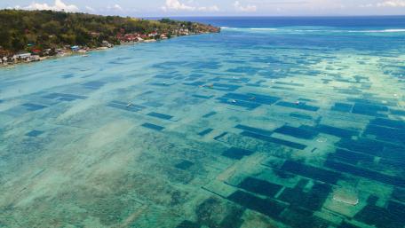 Serene Aerial View of Vibrant Coastal Waters wallpaper