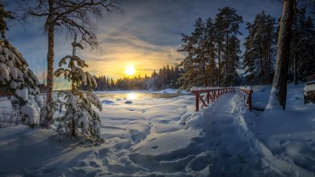 Winter morning wallpaper