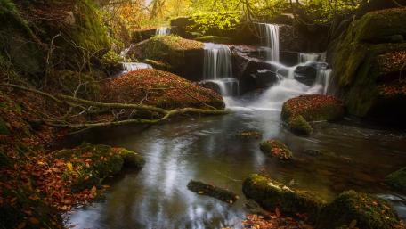 Serene Waterfall Amidst Autumn Foliage wallpaper