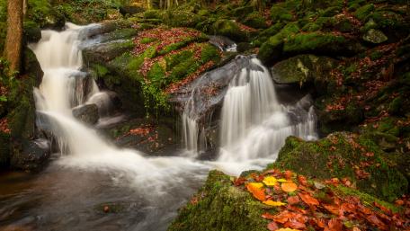Serene River Waterfall Amidst Lush Greenery and Autumn Leaves wallpaper