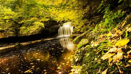 Serene Waterfall Surrounded by Autumn Foliage wallpaper