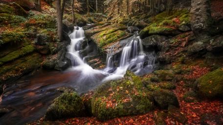 Serene Autumn Waterfall in the Forest wallpaper