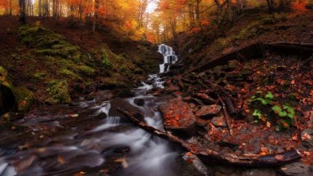 Autumn Serenity in a Waterfall Forest wallpaper