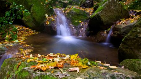 Autumn Serenity by the Waterfall wallpaper