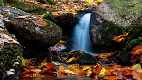 Tranquil Autumn Waterfall Scene wallpaper