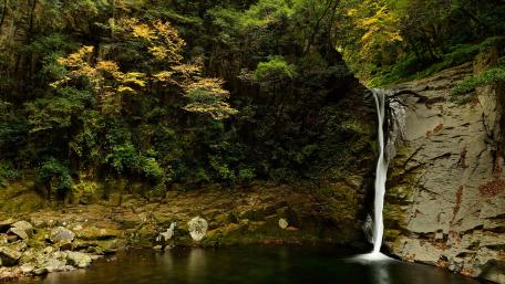 Majestic Waterfall Surrounded by Lush Greenery wallpaper