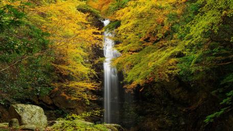 Autumn Waterfall Surrounded by Colorful Foliage wallpaper