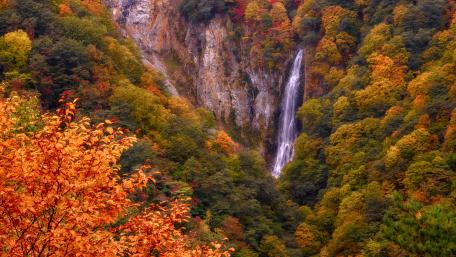 Autumn Waterfall Beauty in Nature wallpaper
