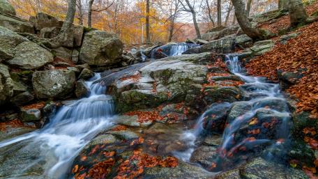 Serene Autumn Waterfall in a Forest Scene wallpaper