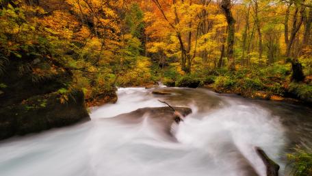 Autumn Serenity in a Forest River Scene wallpaper