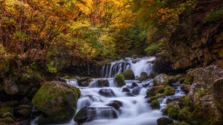 Autumn Serenity at the Waterfall wallpaper