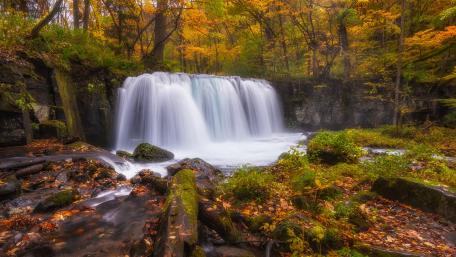 Autumn Serenity in Cascading Waters wallpaper