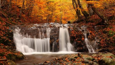 Autumn Serenity in a Cascade Flowing Waterfall wallpaper