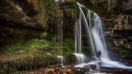 Serene Waterfall Amidst Lush Greenery wallpaper
