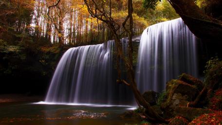 Serene Forest Waterfall in Autumn Colors wallpaper