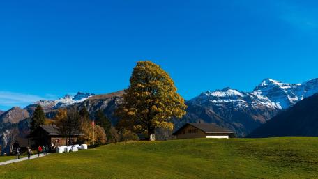 Breathtaking Mountain View with Cozy House wallpaper