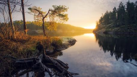 Serene Sunrise Over Autumn Lake Reflection wallpaper