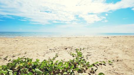 Tranquil Sandy Beach Scene with Blue Sky and Ocean Waves wallpaper