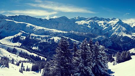 Majestic Winter Wonderland Scene wallpaper