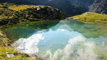 Tranquil Reflections in Nature's Oasis wallpaper