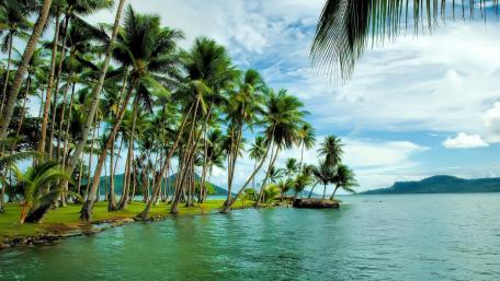 Tropical Paradise Embraced by Palm Trees and Crystal Waters wallpaper