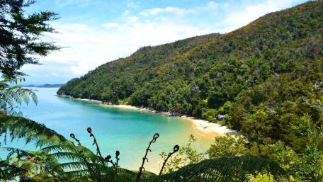 Tranquil Coastal Lagoon Scene wallpaper