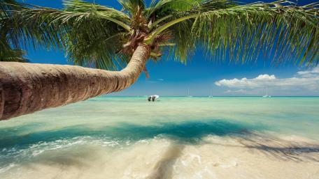 Tropical beach wallpaper