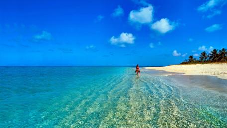 Serene Beach Escape Under Clear Blue Skies wallpaper