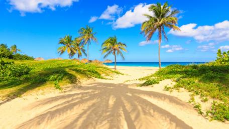 Tropical Paradise by the Beach wallpaper