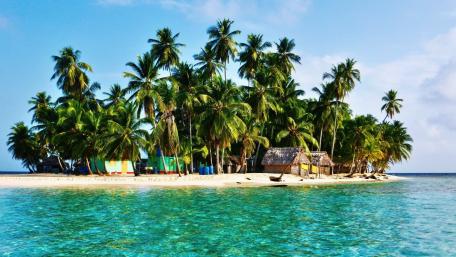 Tropical Island Paradise with Palm Trees and Clear Waters wallpaper