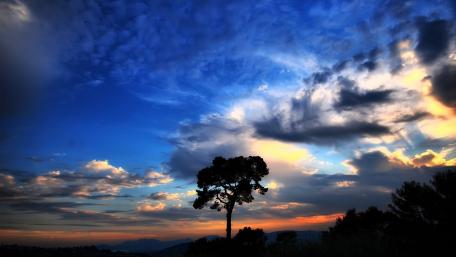 Lone Tree Against Twilight Sky Beauty wallpaper