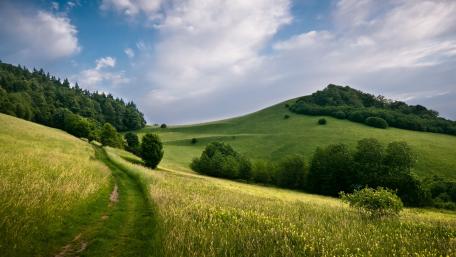 Lush Green Hills Under a Blue Sky wallpaper