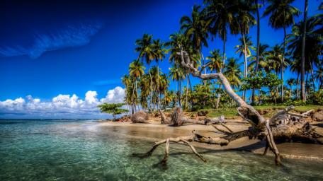 Dominica wallpaper