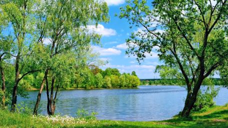 Tranquil Spring at the Lake wallpaper